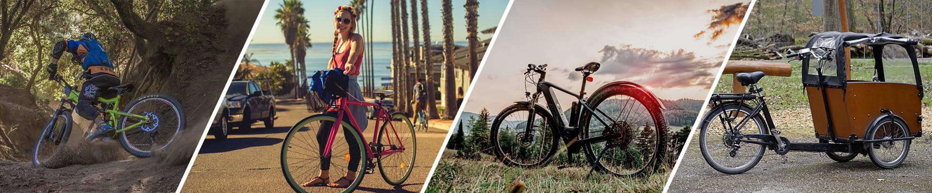 Mountainbike, Cityrad, e-Bike, Lastenrad